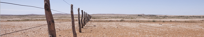 Desert