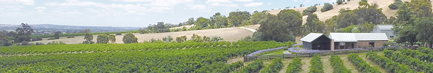 a large green field