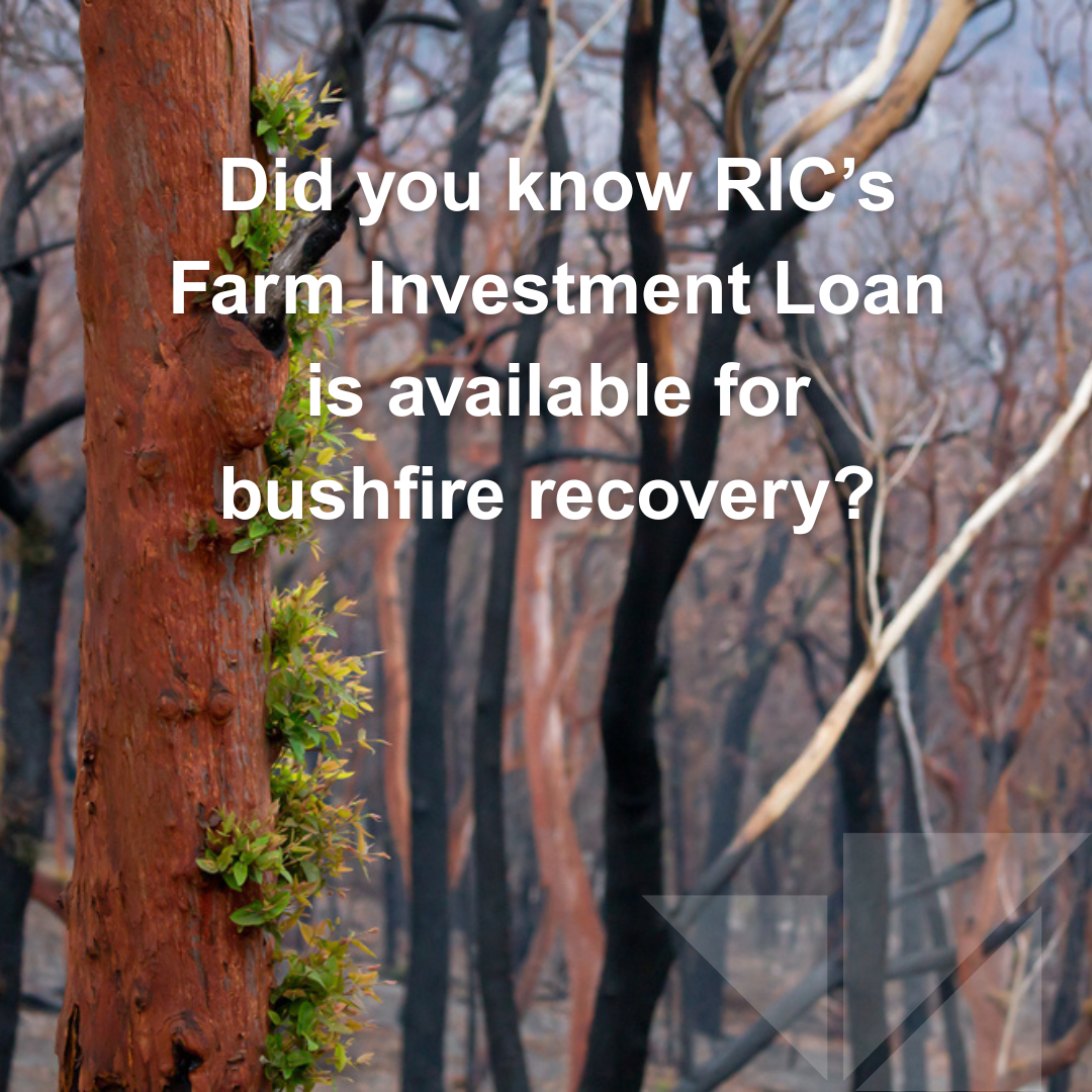 Farm Investment Bushfire recovery