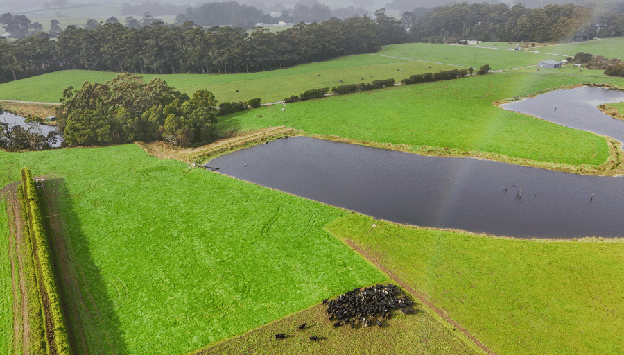 Cowley Farm