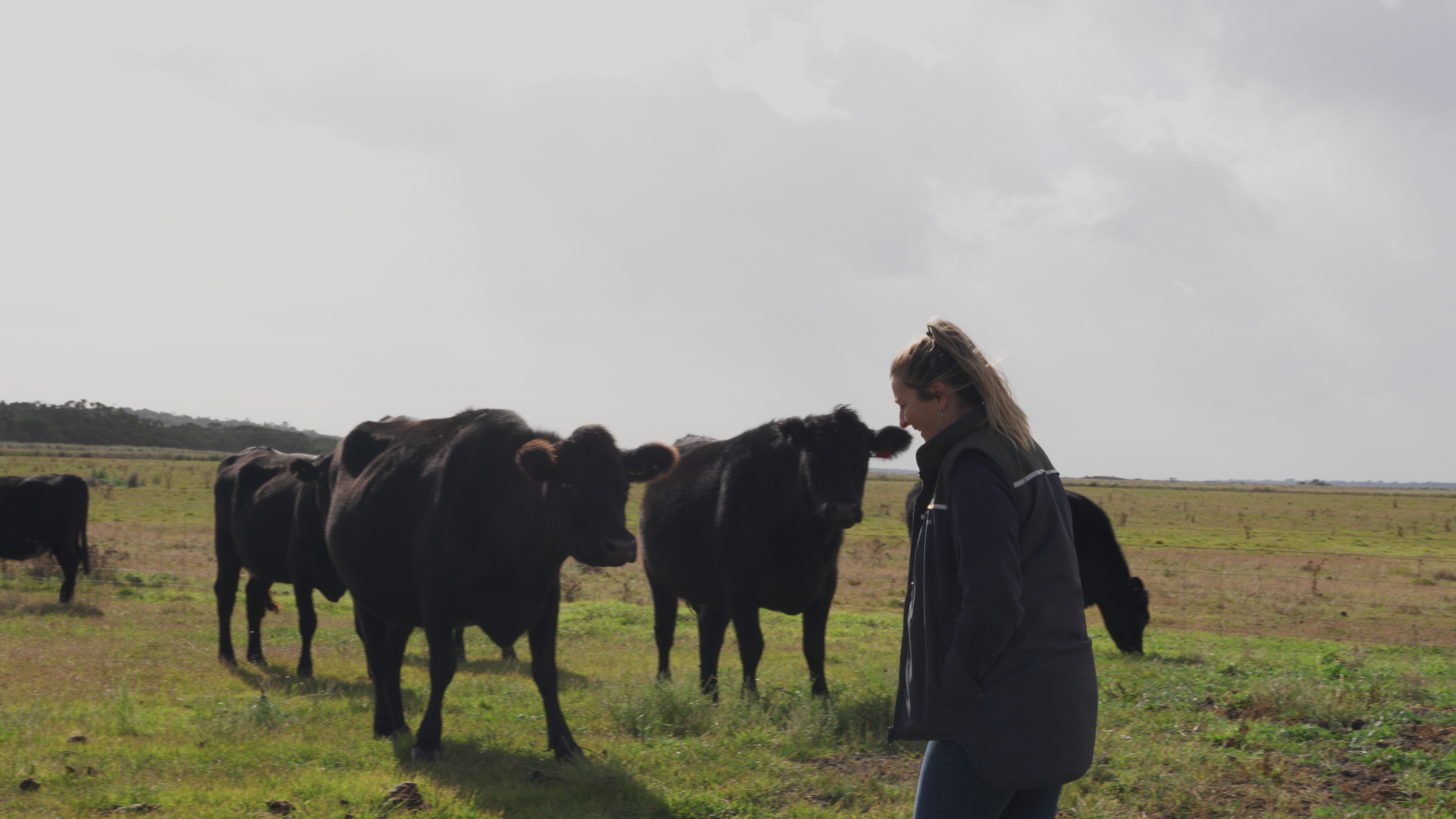 Dana with cattle