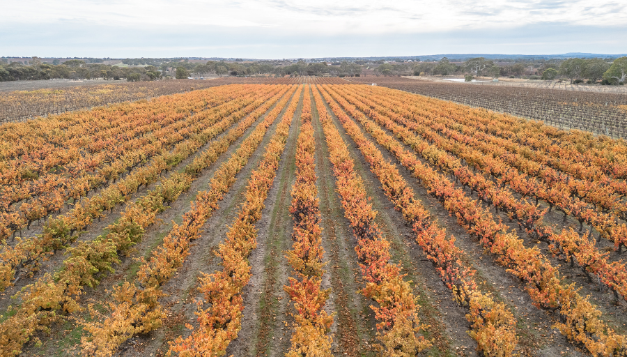 Fragos Farm Image