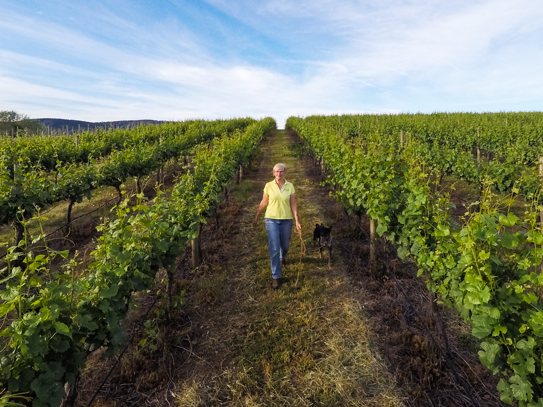 Julie is vineyard
