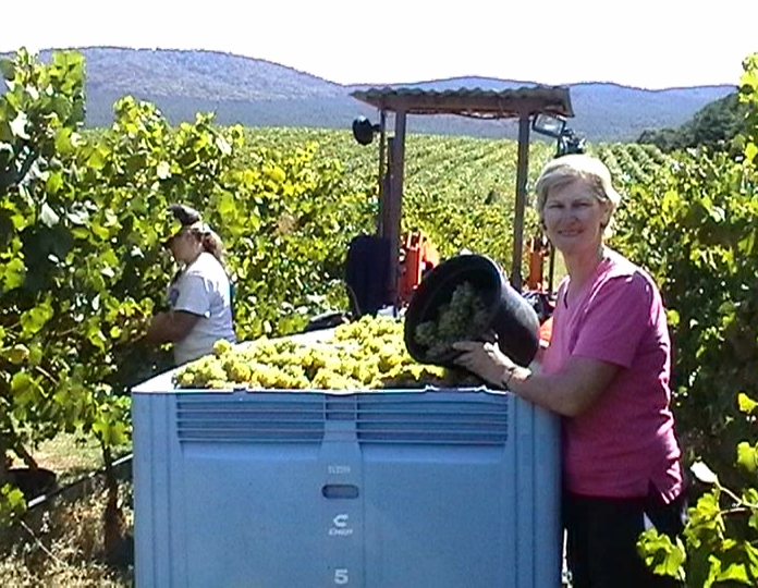 Juliet on farm with grapes