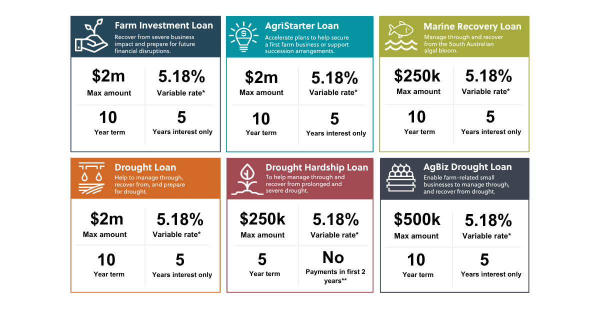 Loans