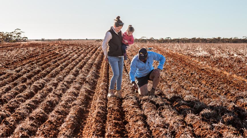 Farm Investment