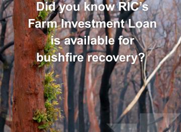 Farm Investment Bushfire recovery