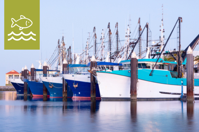 Marine Recovery Loan