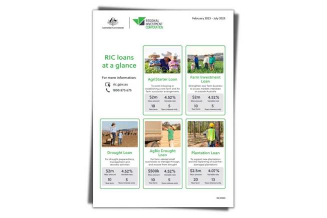 RIC loans at a glance