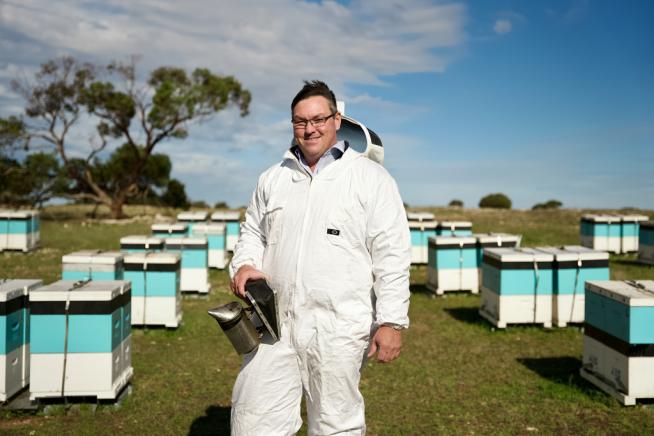 Man wearing beekeeper protective suit 