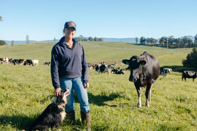Dairy Farm Bega