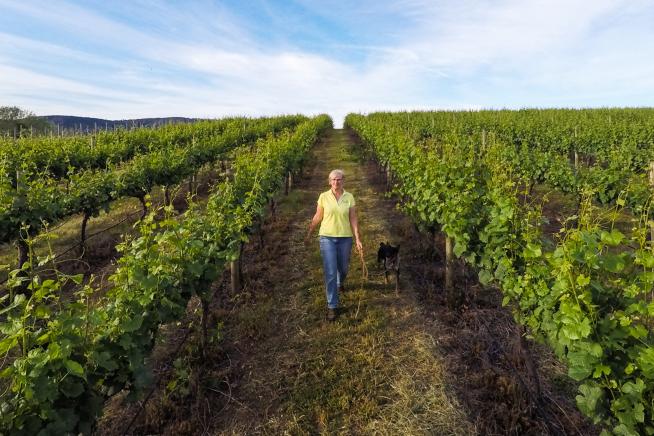 Julie is vineyard