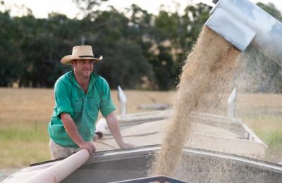 Farmer with grain auger 