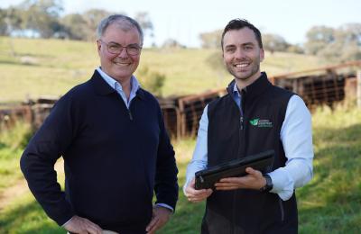 Two people standing in front of cattle