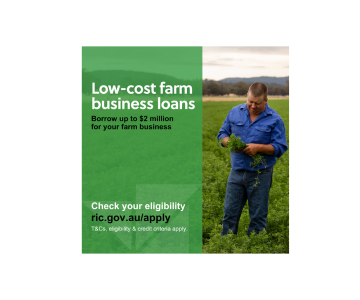 Low Cost loans Thumbnail